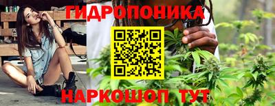 стафф Волжск