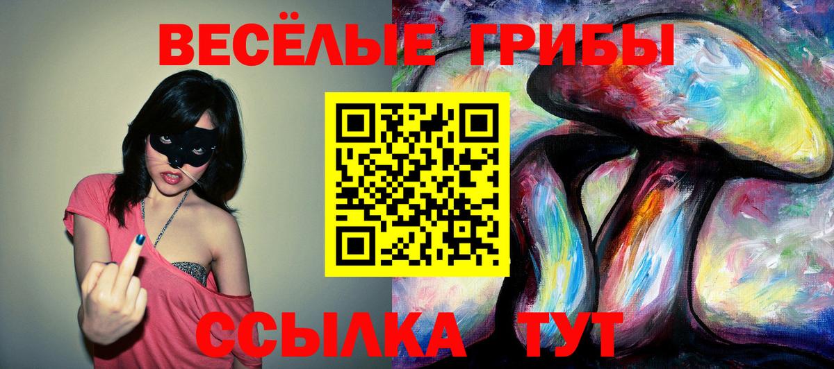Псилоцибиновые грибы ЛСД Иваново