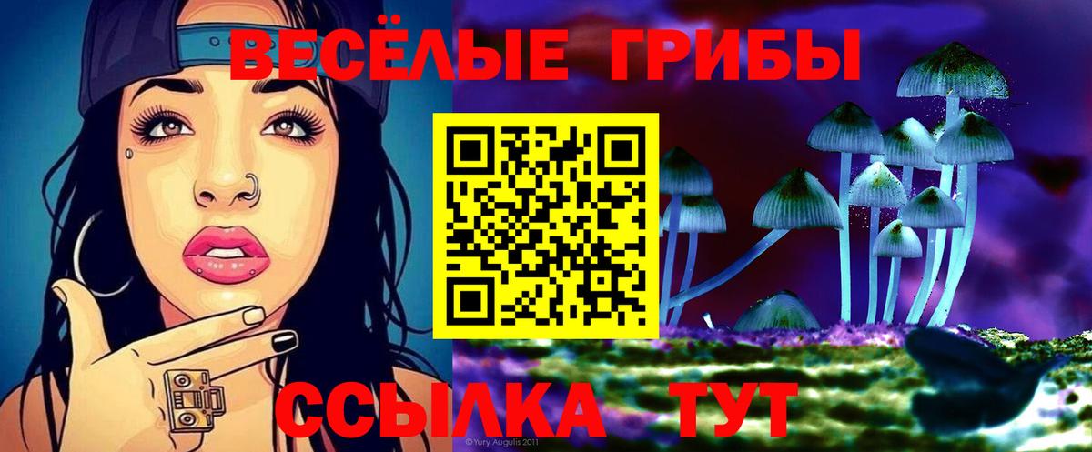 Иваново  Псилоцибиновые грибы прущие грибы  Галлюциногенные грибы Cubensis  Вход с VPN 